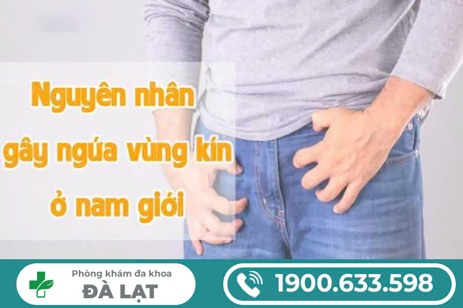 Hình ảnh minh họa